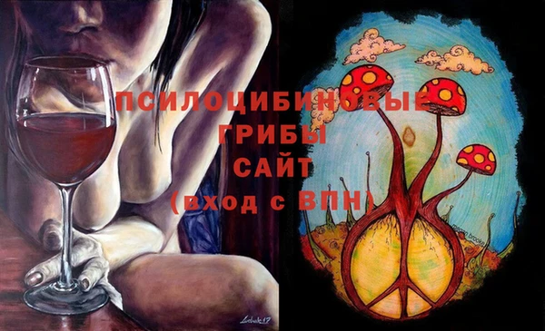 spice Алексин