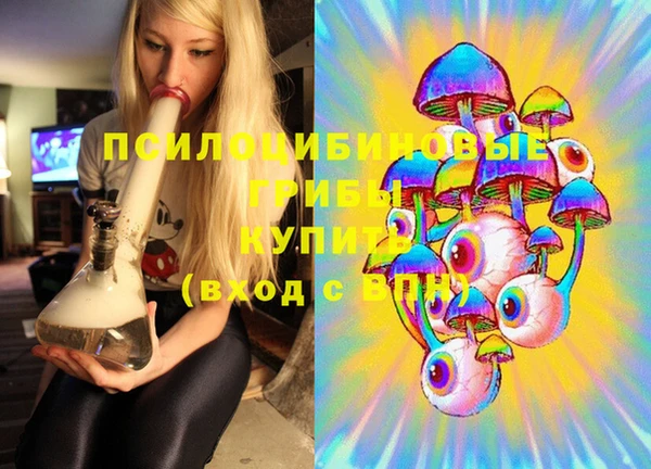 Альфа ПВП Алзамай