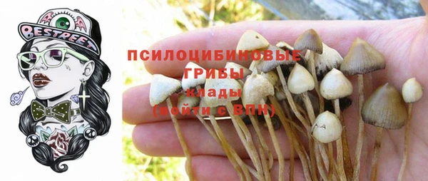 спиды Абаза