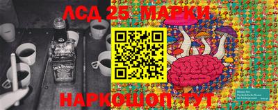 spice Вязники