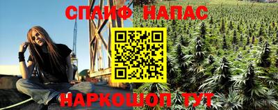 молекула духа Владикавказ