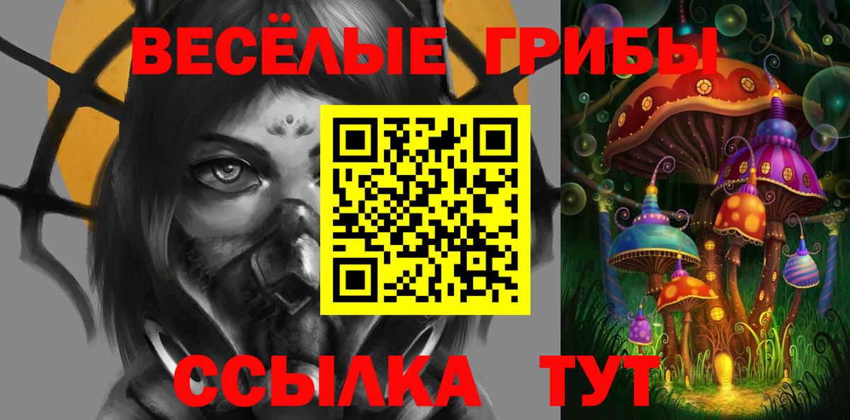 Галлюциногенные грибы GOLDEN TEACHER  Вход с VPN  Галлюциногенные грибы ЛСД  Саки 